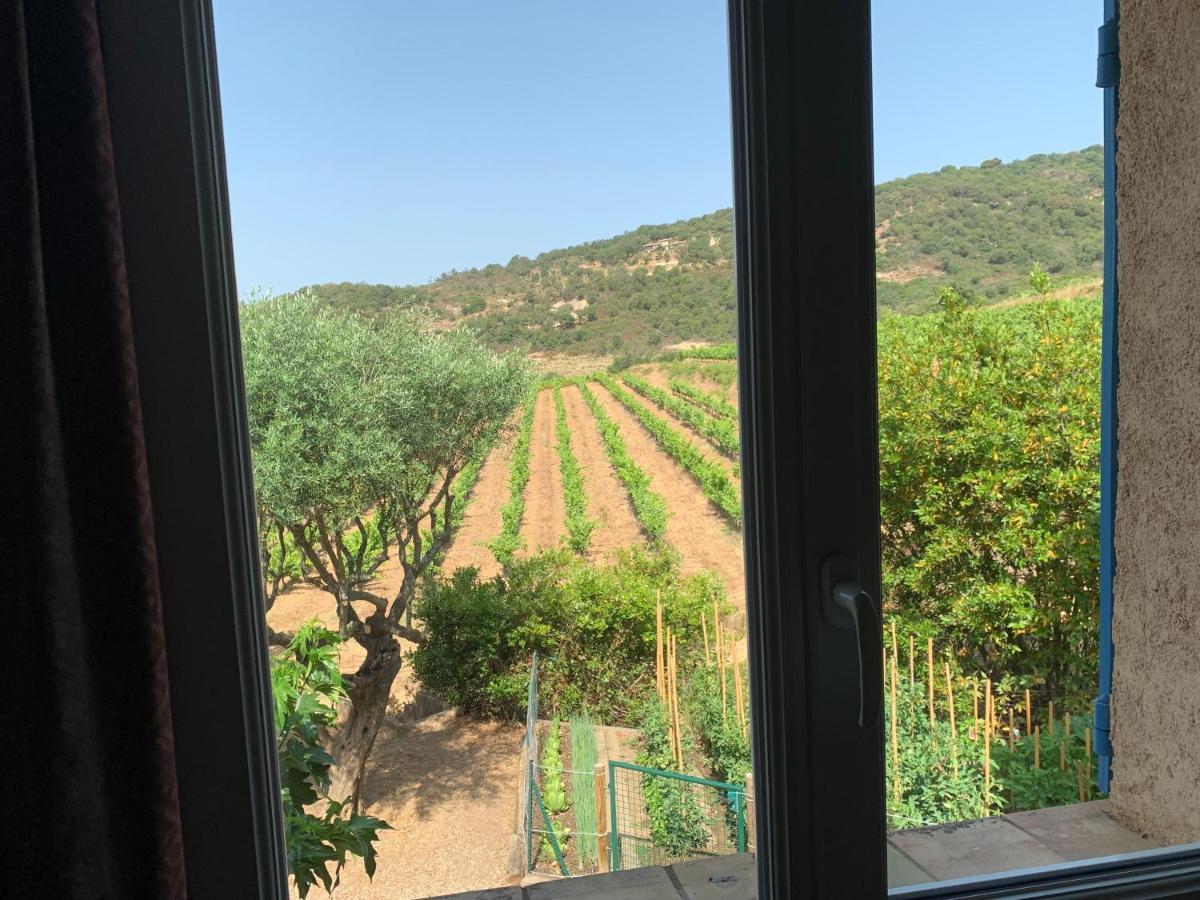 Les Oliviers Appartement Grimaud Buitenkant foto