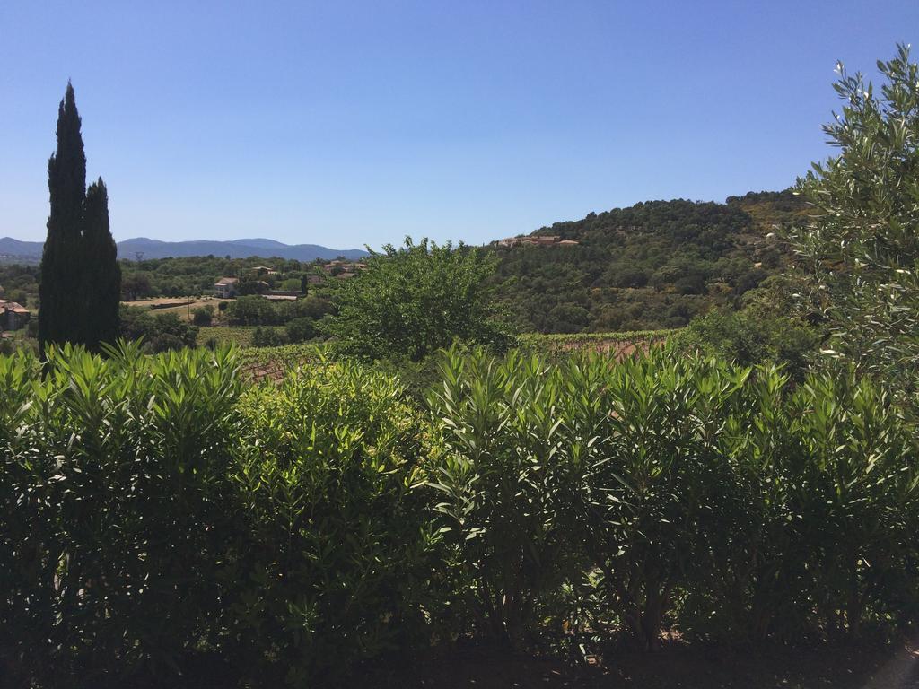 Les Oliviers Appartement Grimaud Buitenkant foto